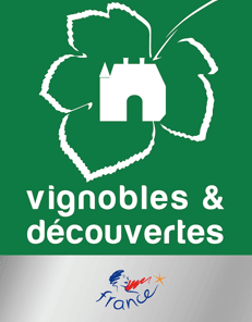 vignoble et decouverte